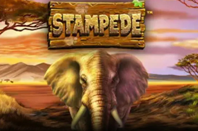 Stampede slot with African elephant in savanna